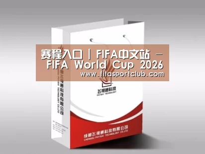 项目名称十三
